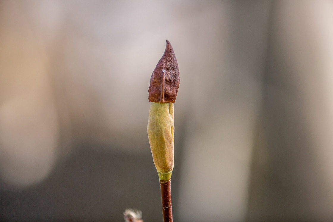 20150504101629 93805