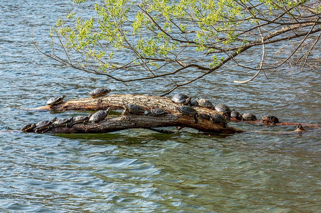 20150504172636 94121