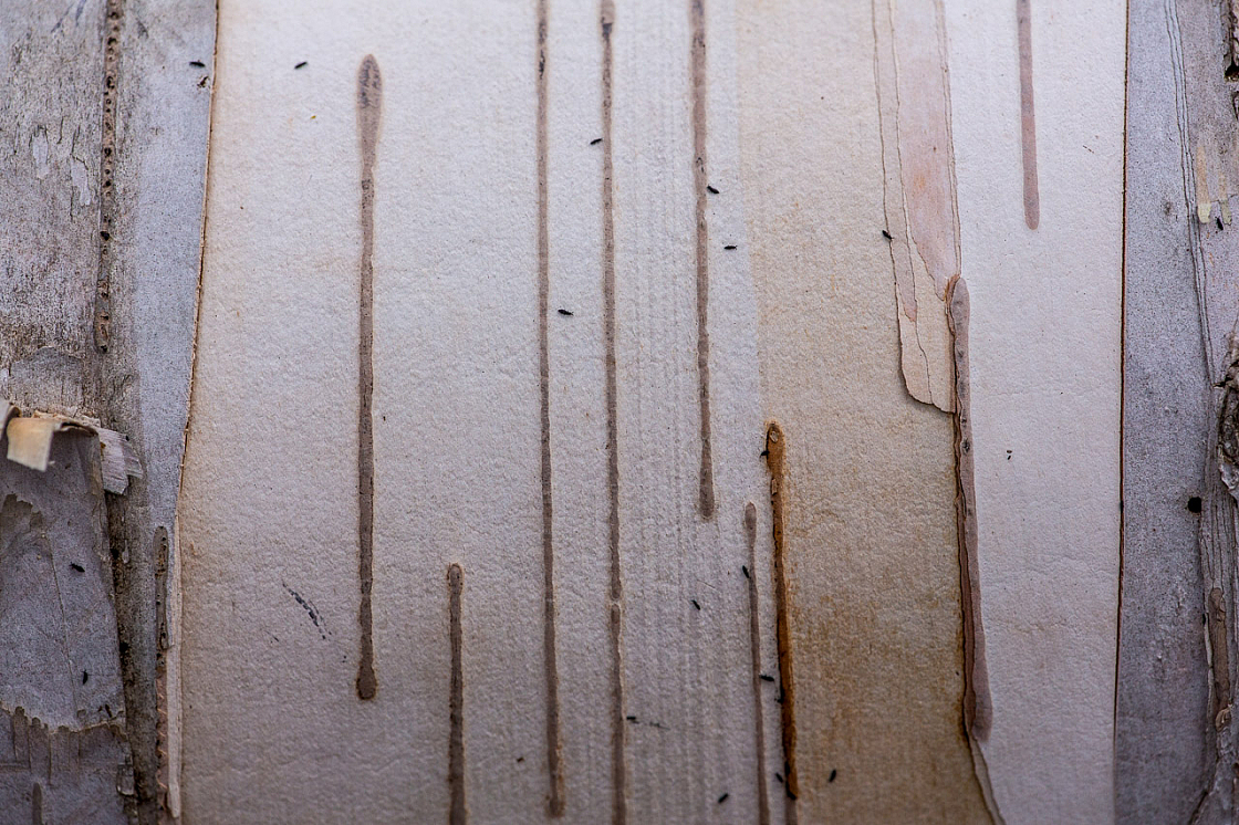 20150502125537 90664