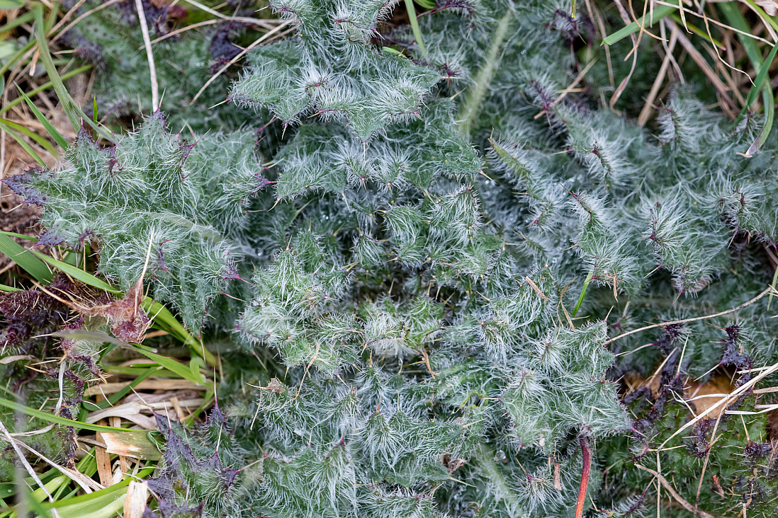 20160327165144 018137