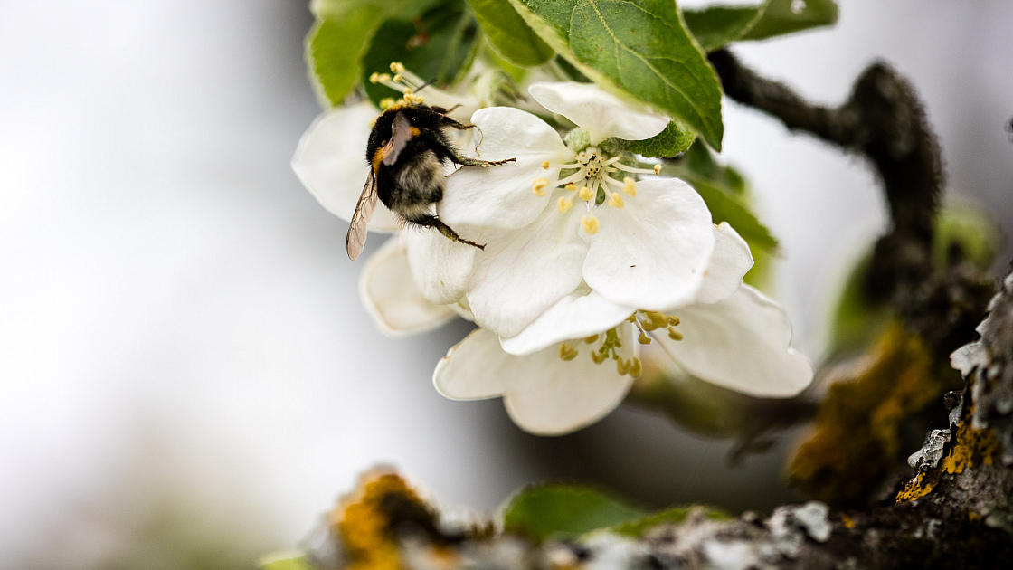 20160516092314 019910