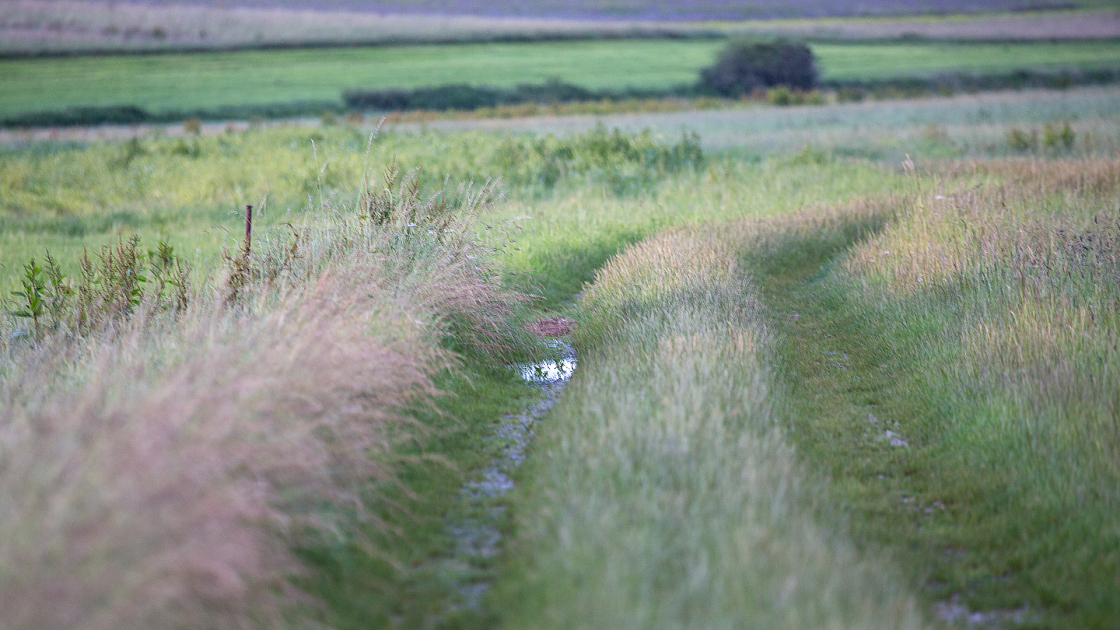 20160617195736 102755