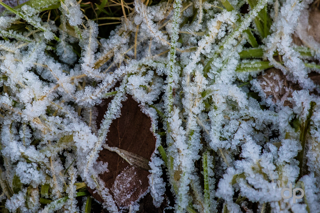 20170101155902 016385