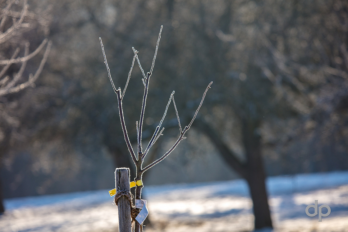 20170121101240 016916