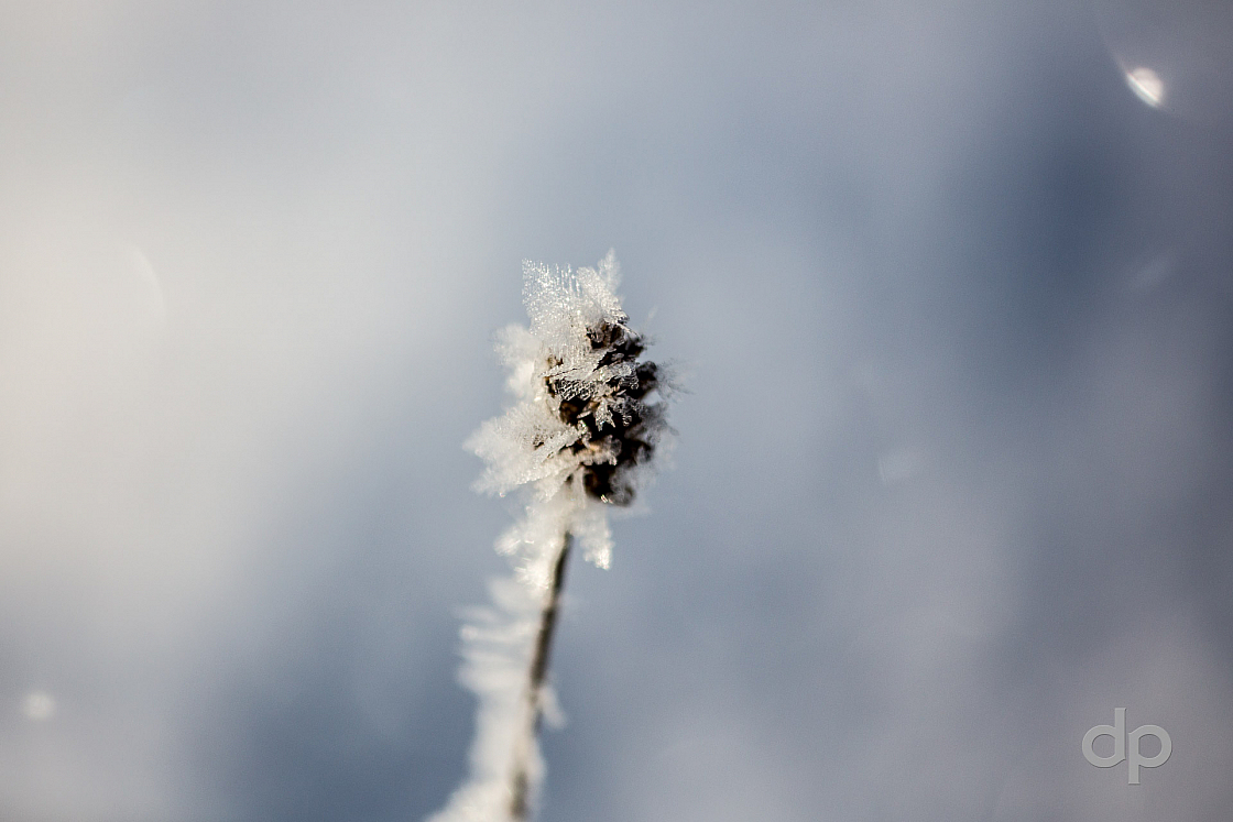 20170121102326 105809