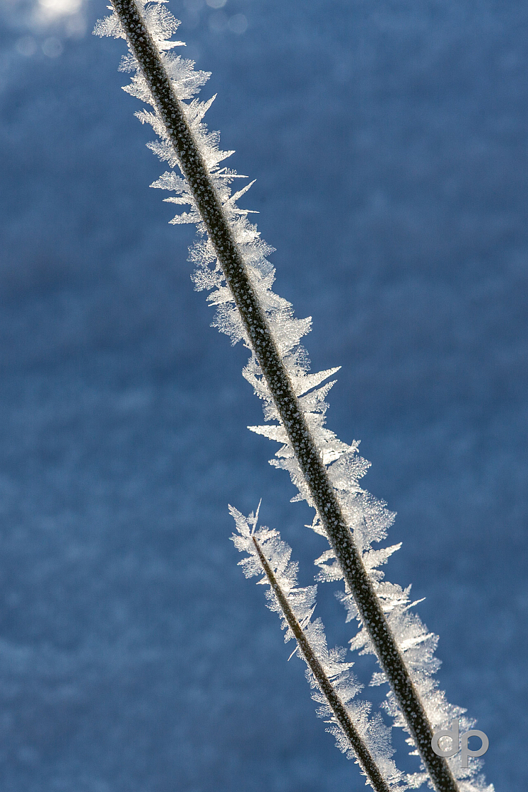 20170121102642 105831