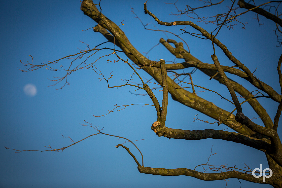20170408184732 102952