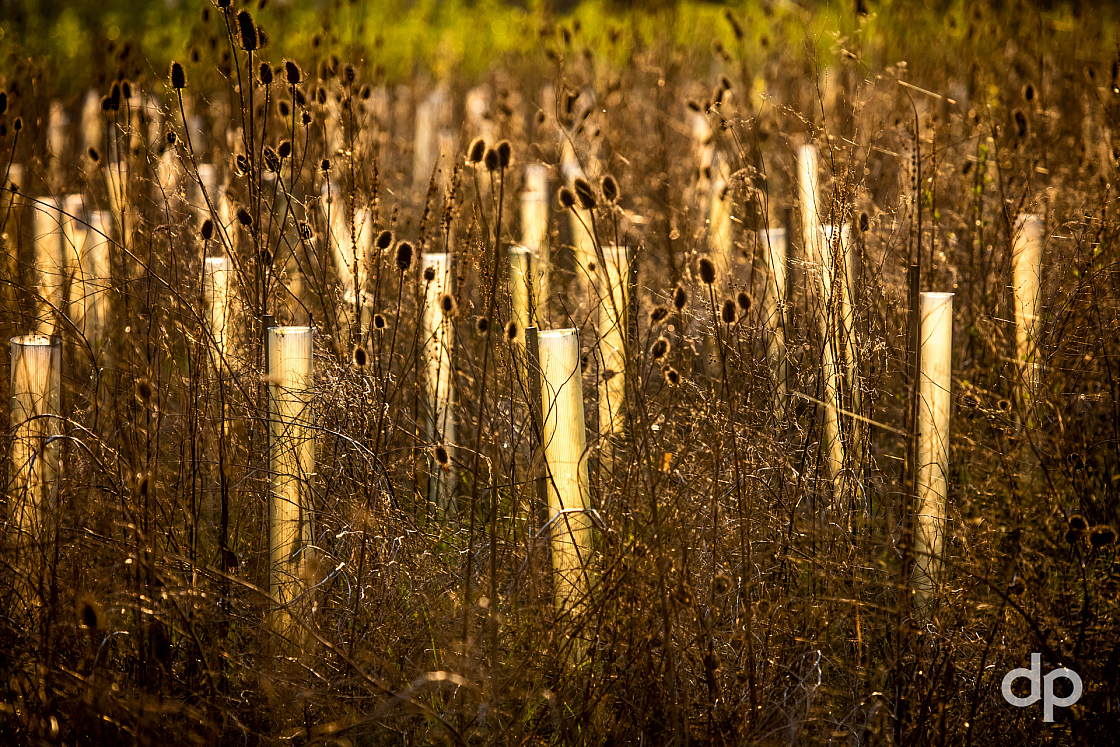 20170408192644 010145