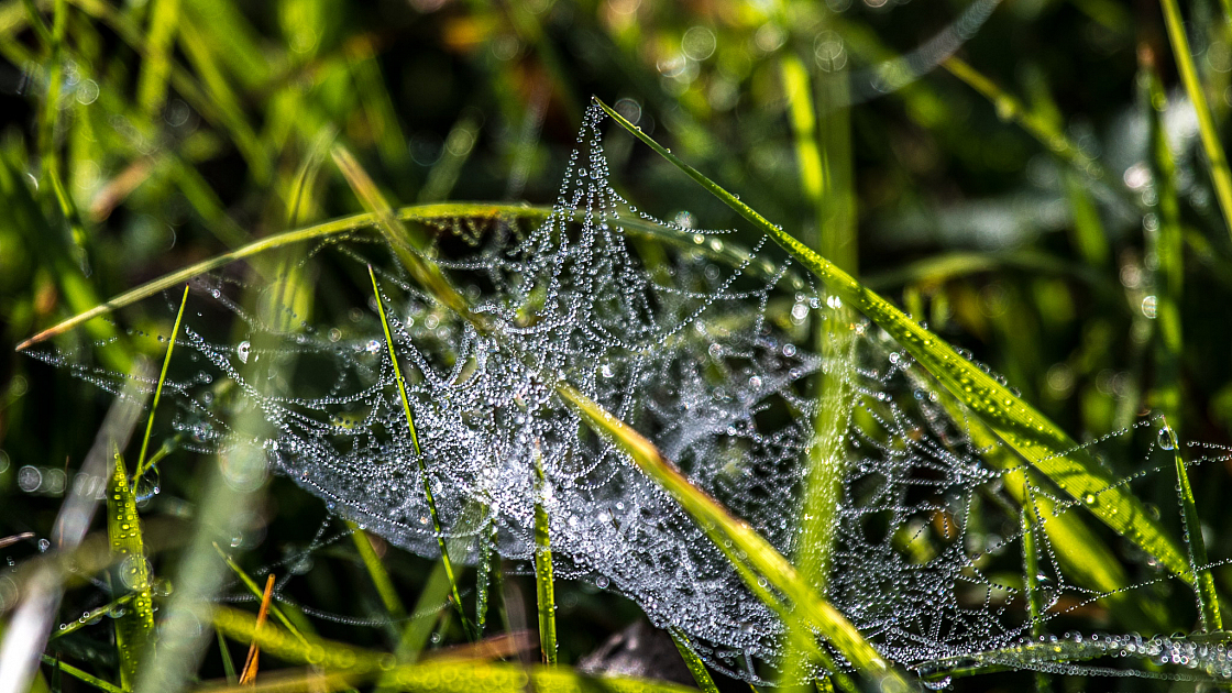 20171015104859 5423