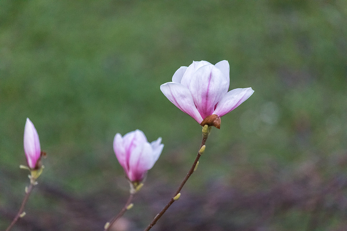 20180412065124 0437