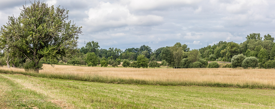 20180625082624 pano