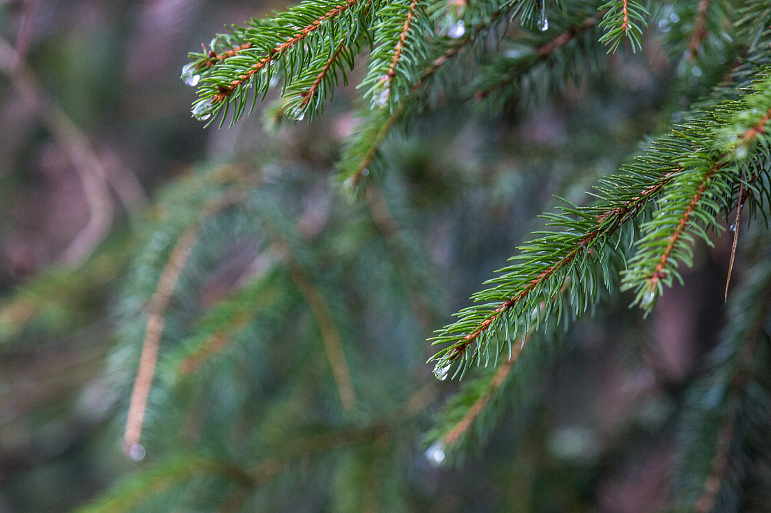 20181227153618 107358
