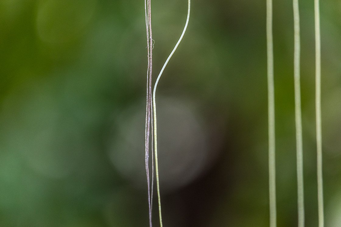 20180203173024 6111