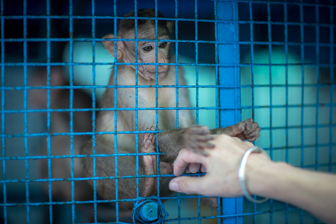 20180130100745 1707