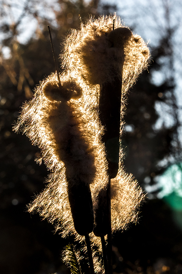 20190217164505 9498