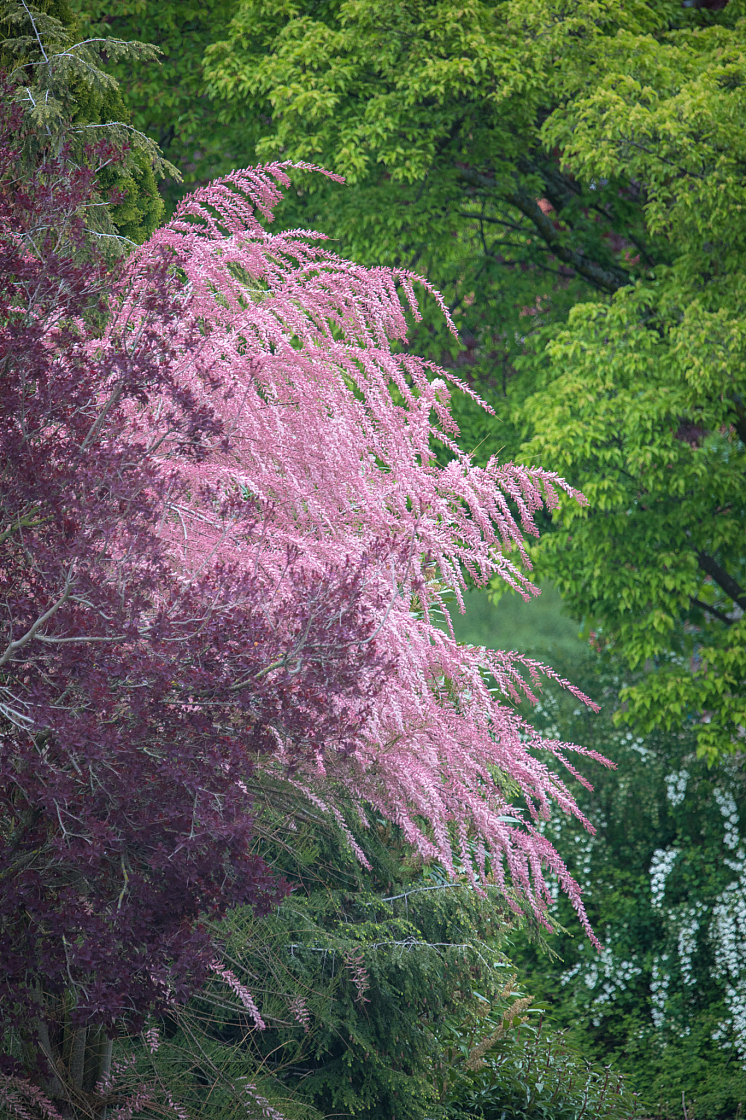 20190505100018 1646
