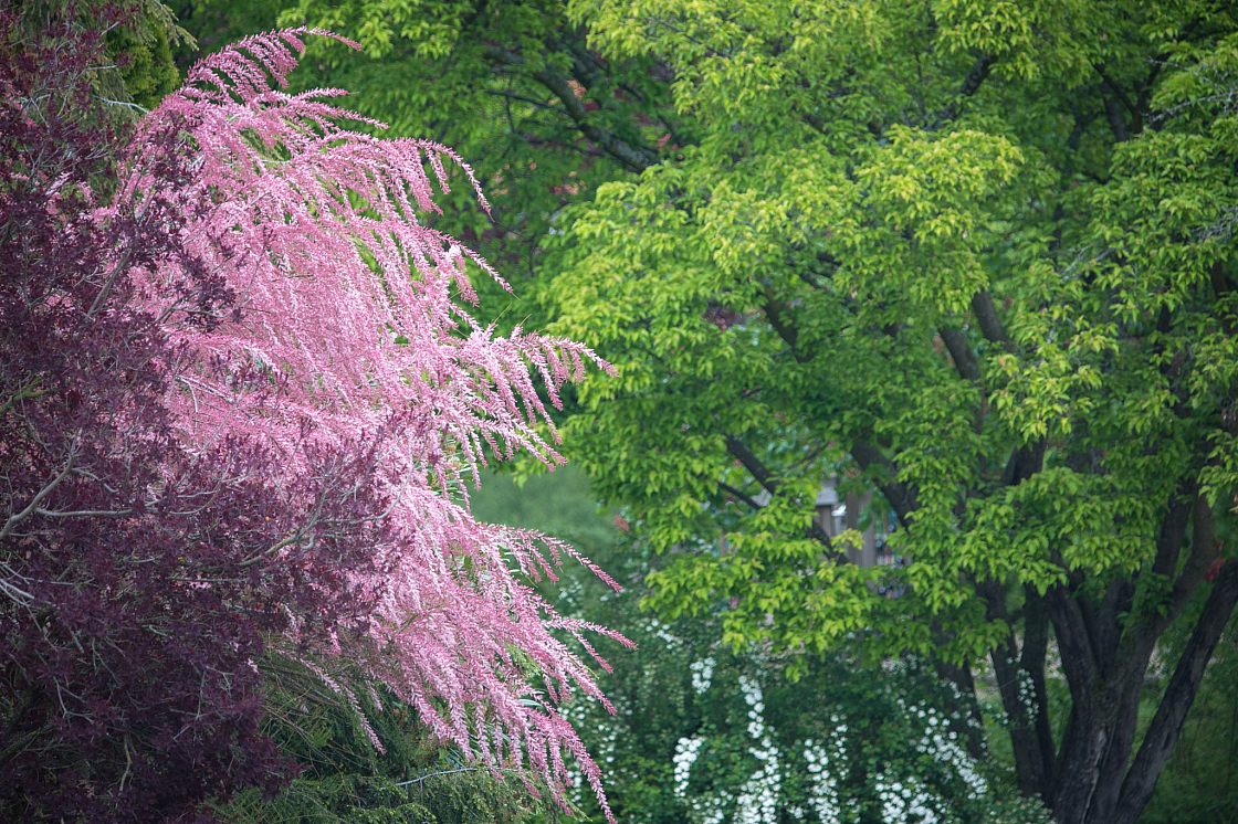 20190505100239 1668