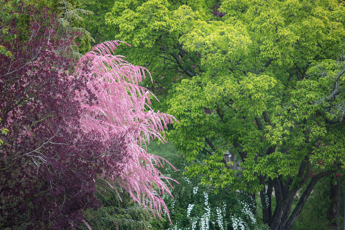 20190505102510 1672