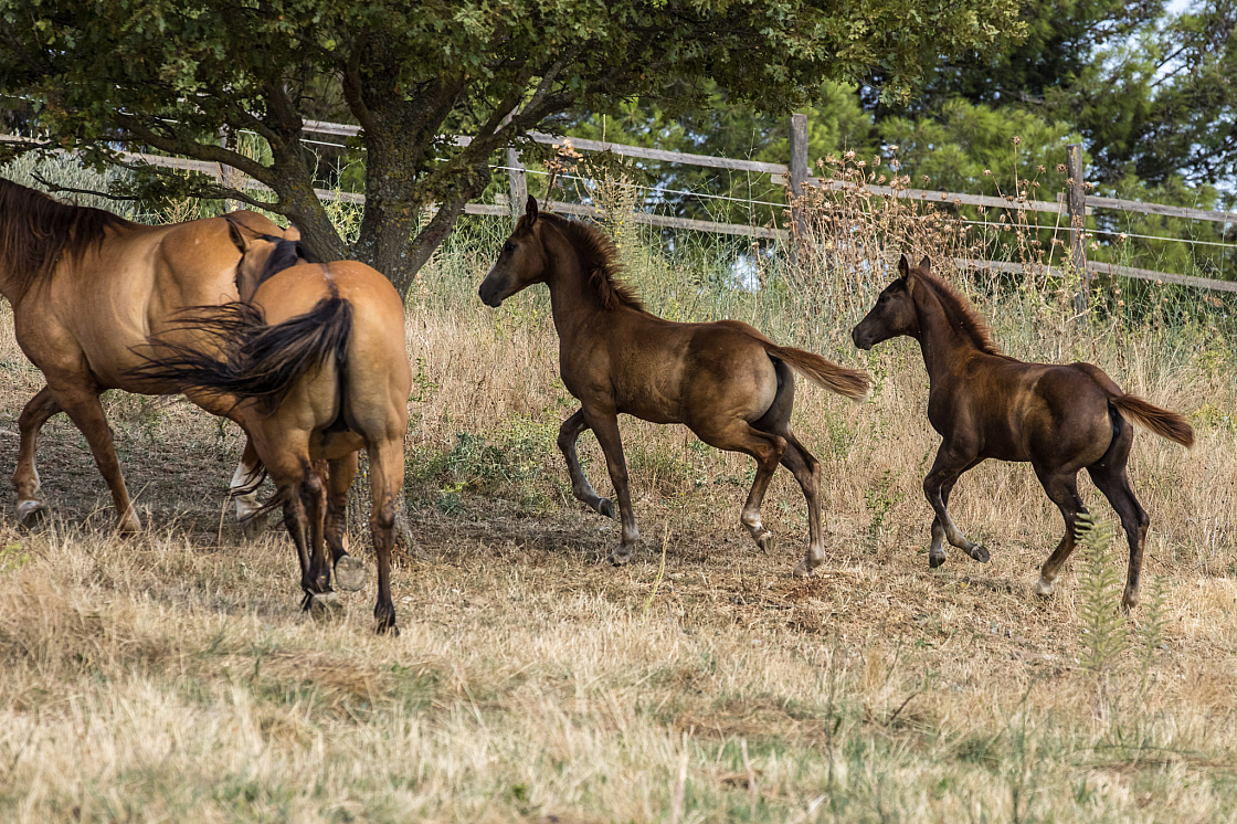 20190816172125 3181