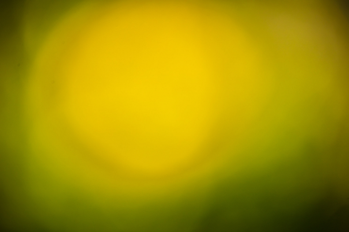 20200410153705 011478