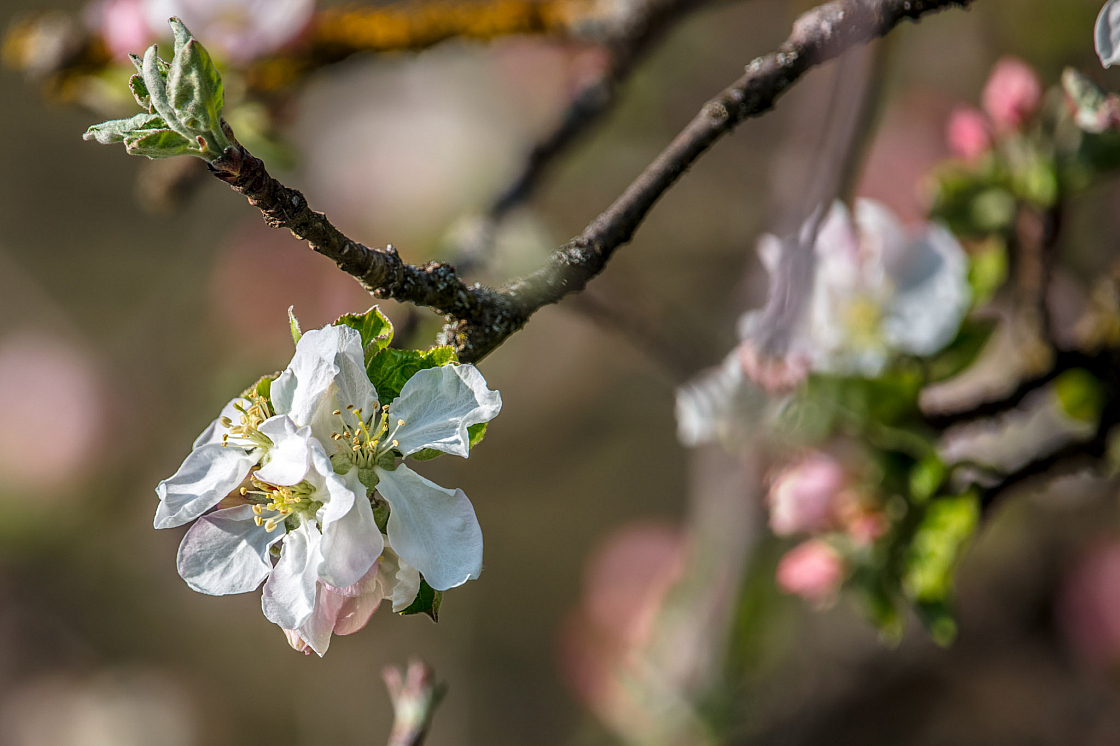 20200410155034 011551