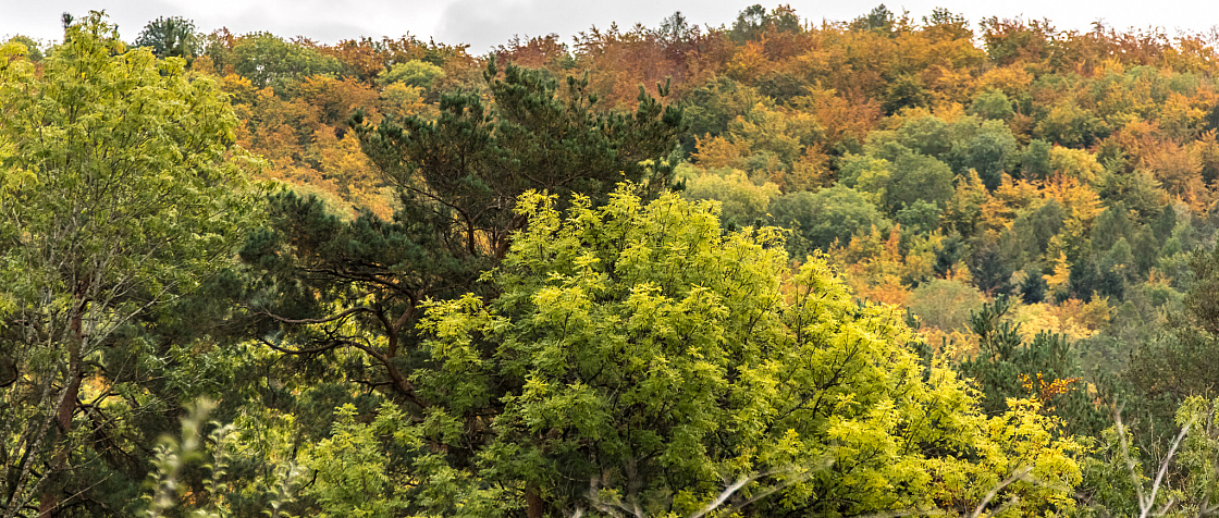 20201011120956 0567