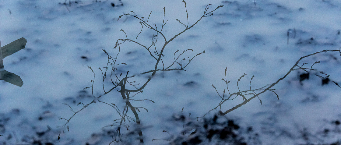 20201213163456 1796-2