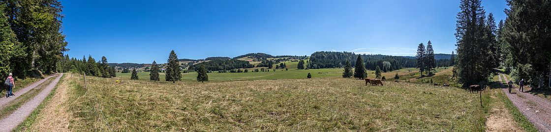 20200806121207 pano