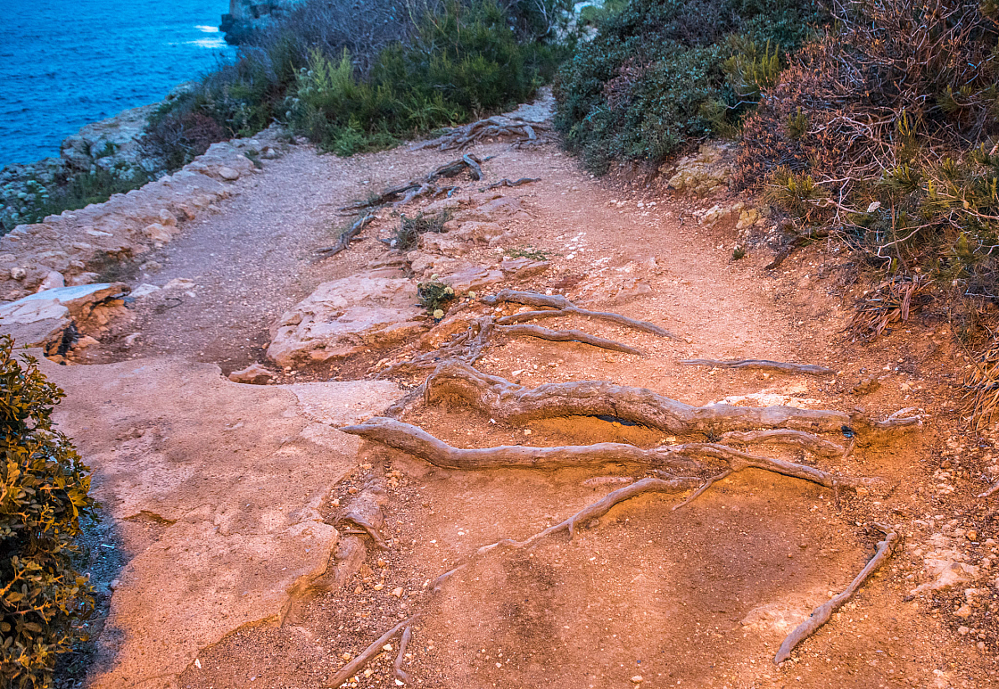 20210601212306 5600