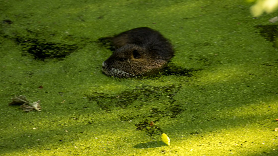 20220507191724 6506