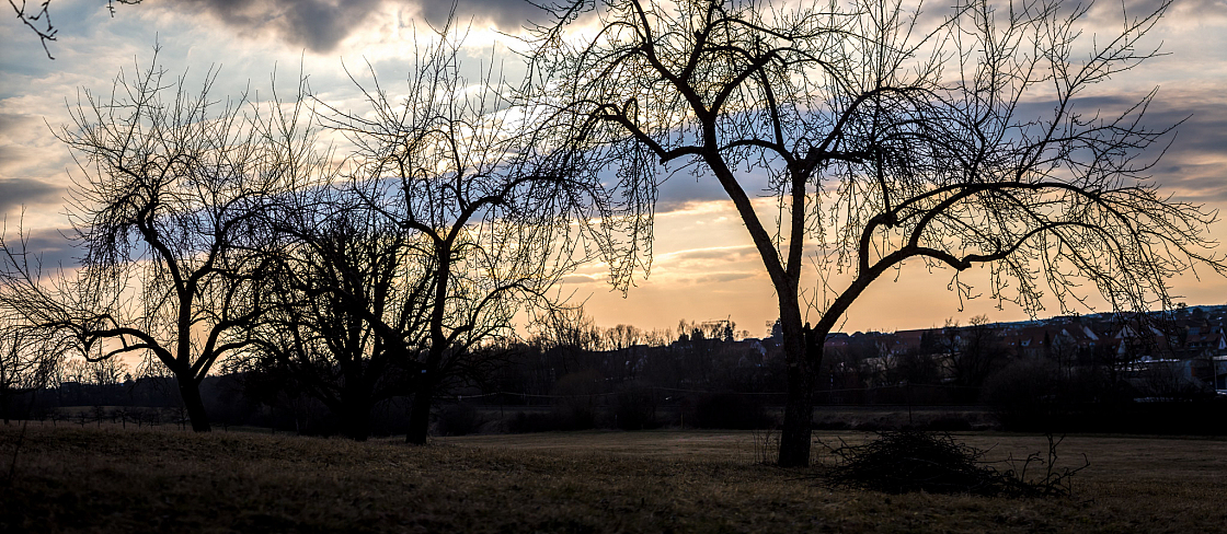 20220306172401 pano