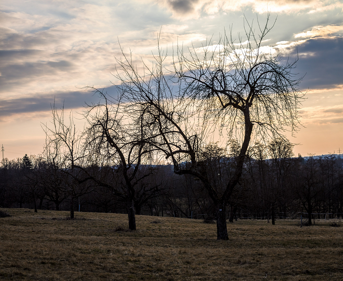 20220306172655 pano