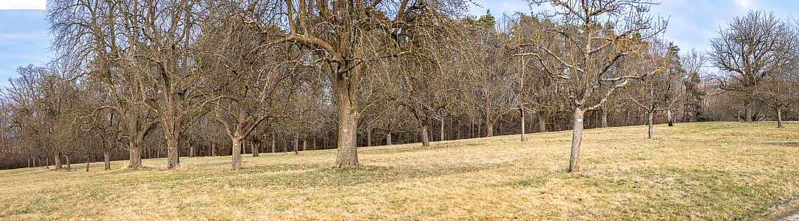 20220306172839 pano