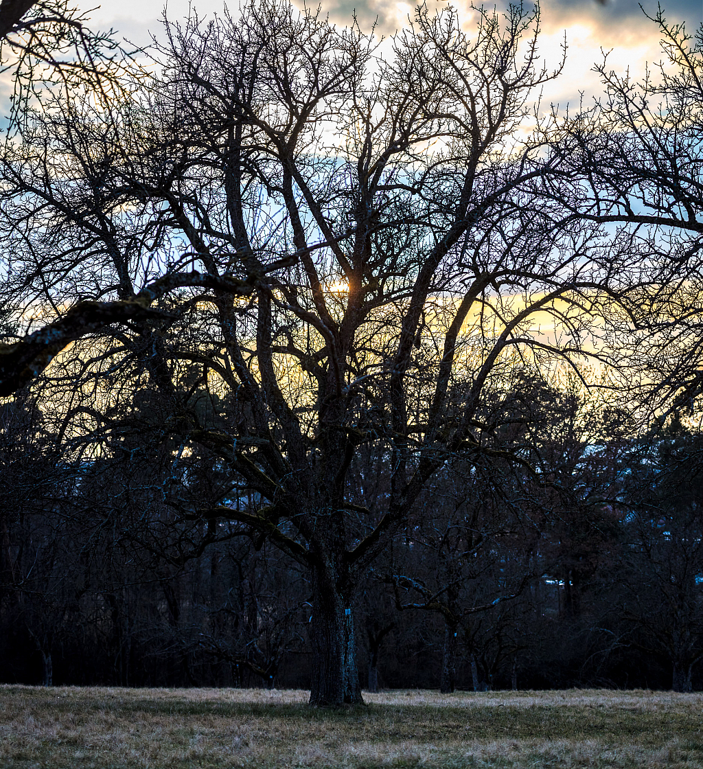 20220306173954 pano