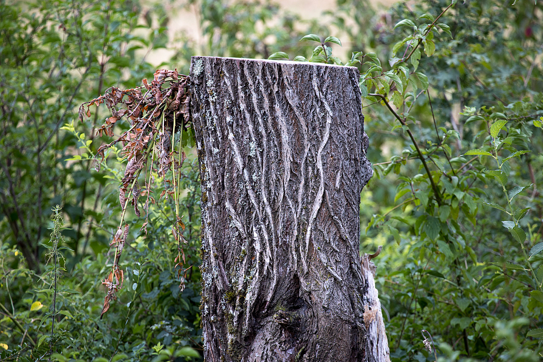 20220806074330 7029