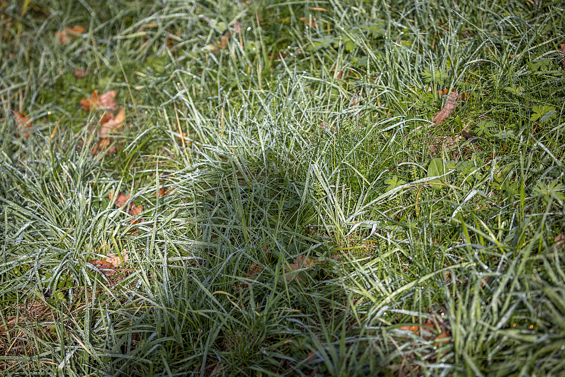 20221111111921 0142