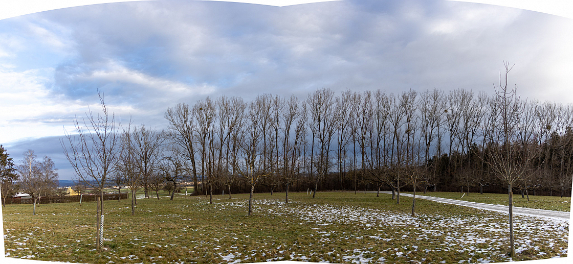 20230130092550 pano