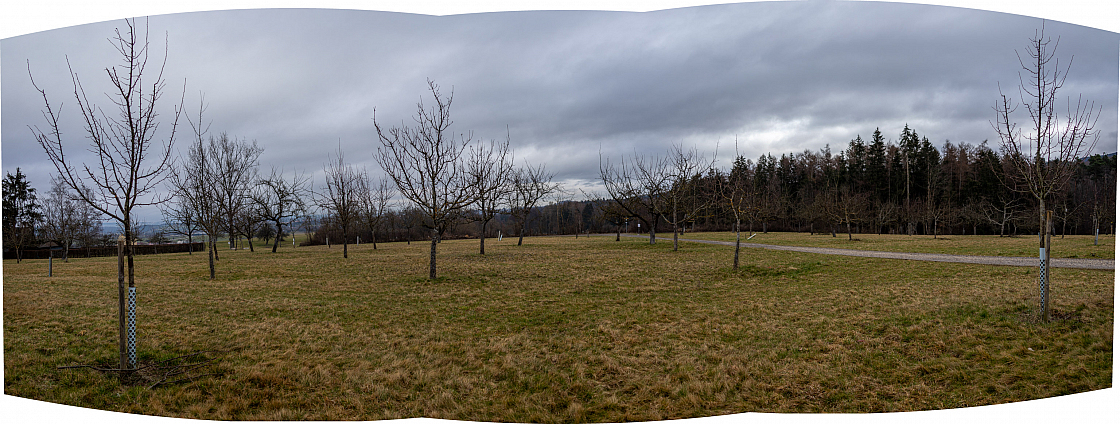 20230312092426 pano