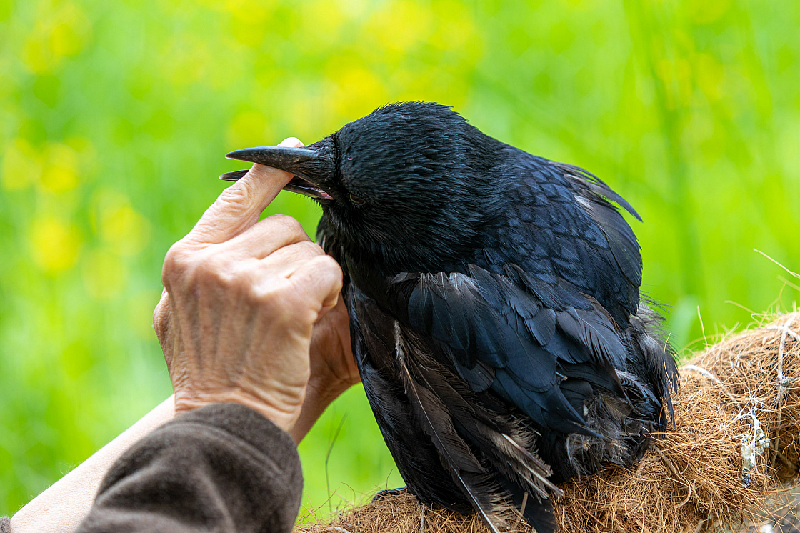 20230518151432 6065