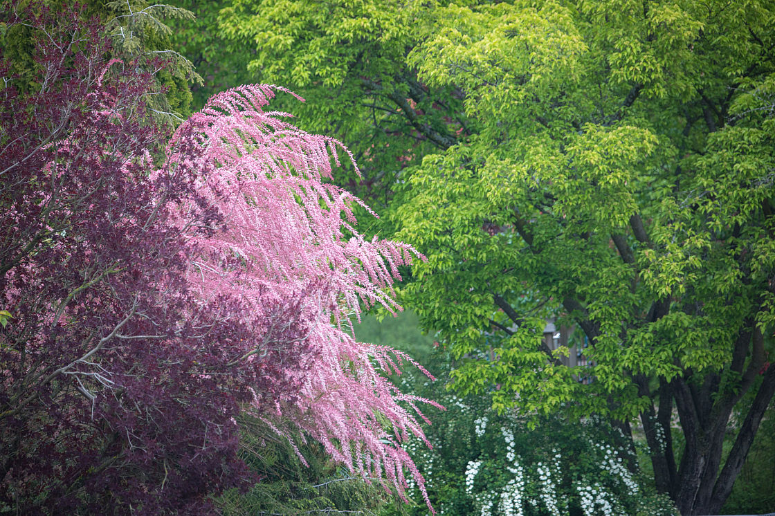 20190505100242 1671