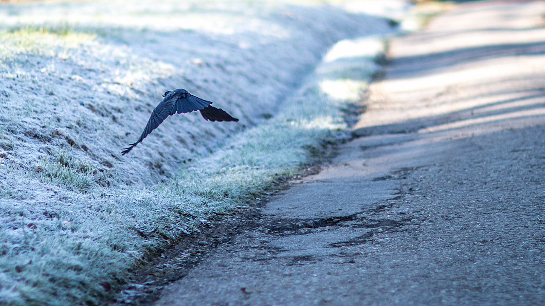 20201107091621 1269