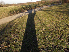 P3160076