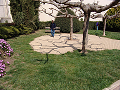 DSC00567.jpg