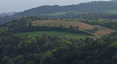 P4140764.jpg