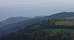 P4140767.jpg
