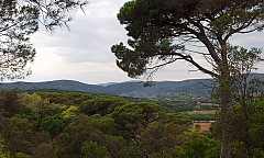 Les Tournels