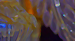 IMG_3461_m