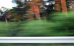IMG_3693