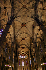IMG_4784