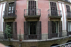 IMG_4123.jpg